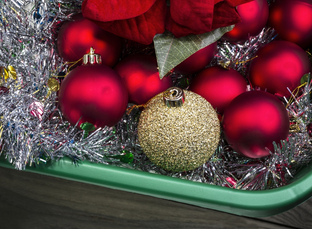 mobile home storage for Christmas Decorations